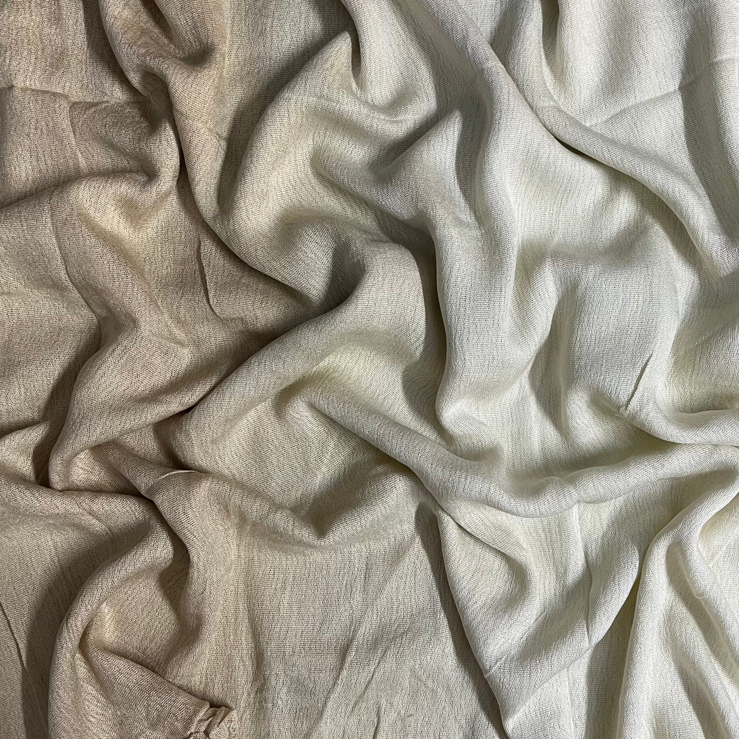 Ombre Modal Cotton - Butter Milk